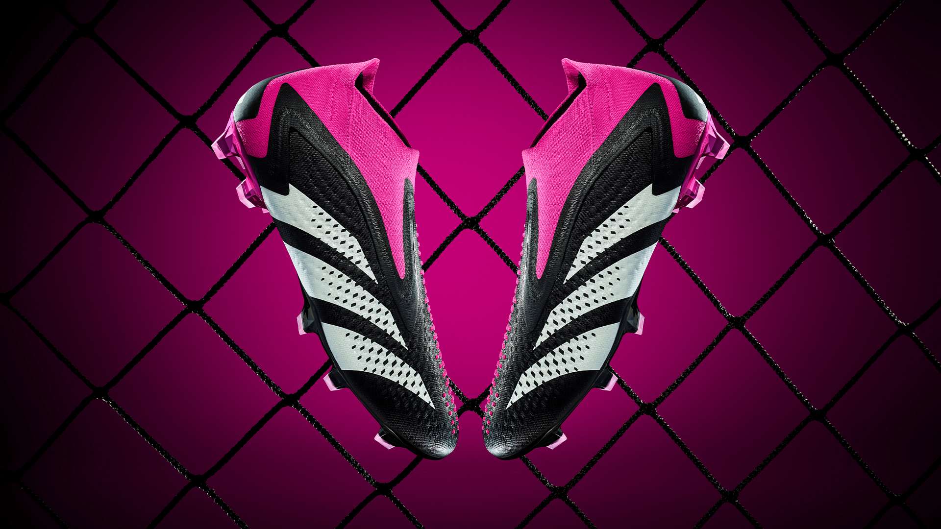 席的影响 席的影响